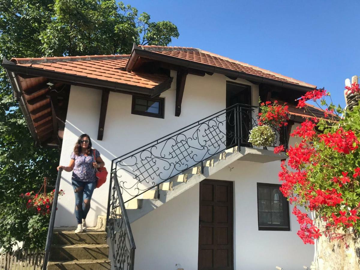 ヴァリェヴォ Etno Selo Lelic Bed & Breakfast エクステリア 写真